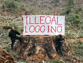 Klicka på bilden för större version

Namn:		illegal_logging.jpg
Visningar:	400
Storlek:		64,7 KB
ID:		2996
