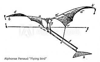 Klicka på bilden för större version  Namn:		Penaud Artificial Flying Bird.jpg Visningar:	0 Storlek:		27,6 KB ID:		14698