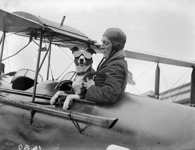 Klicka på bilden för större version

Namn:		dog-on-airplane-640x494.jpg
Visningar:	155
Storlek:		62,6 KB
ID:		18098

